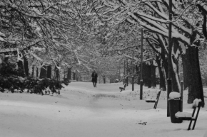 Street - jednou v zimě