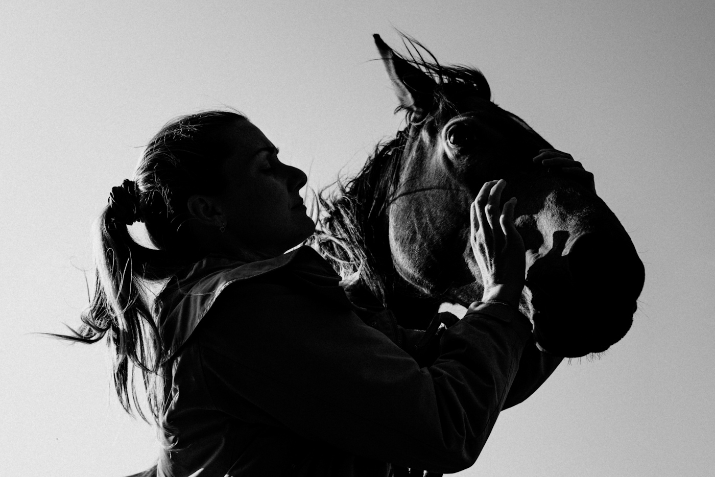 Koňská láska
