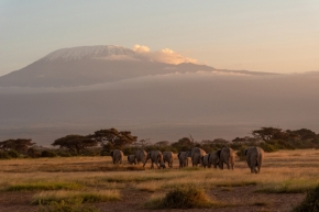 Lucie Táborská - Cesta za Kilimandžárem
