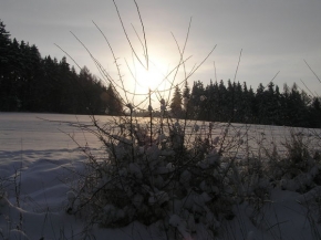 Kouzlení zimy - Svítání