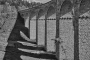 Miloš Štětina - Hra stínů