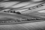 Zdeněk Halíř - geometrie polí
