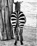 Milan Senft - ZEBRA