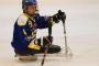 4. Sledge hokej 3.