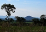 Ľudmila Miklošová - Šarišský hrad