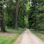 Jana Turianská - Lesní procházka 