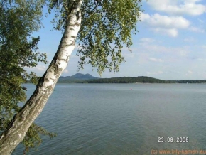 Příroda v detailu - Pohled na Máchovo jezero