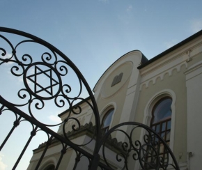 Rostislav Kyša - Synagoga
