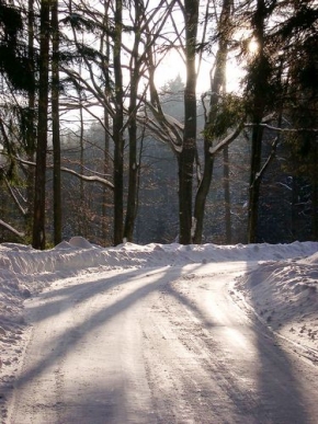 Kouzlení zimy - Zimní cesta