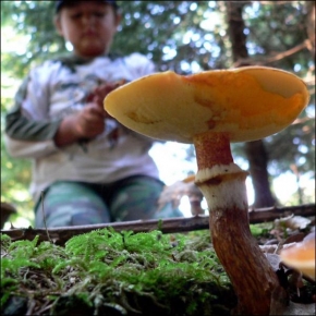 Hobby a koníčci - Na houbách