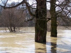 Příroda v detailu - Řeka Morava-záplavy 2006