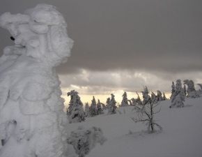 Hynek Vorel - Sněžný muž