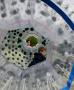 Koulíme se z kopce: Zorbing2