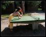 Pingpong
