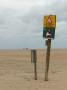 Beware of crocodiles and hippos!