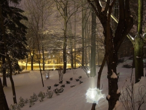 Kouzlení zimy - Noční kouzlo