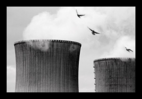 Příroda v detailu - Fotograf roku - kreativita - život nad elektrárnou