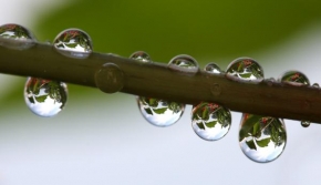 Příroda v detailu - Dešťové kapky