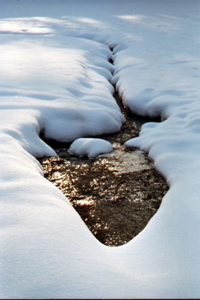 Kouzlení zimy - Rybička ve sněhu