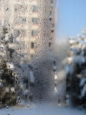 Hana Češková - Zima za oknem 1