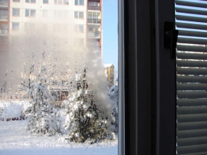 Kouzlení zimy - Fotograf roku junior - Zima za oknem 4