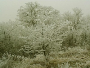 Hana Huňatová - Zima2008