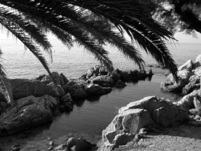 Černobíle… - Palma - ochránce moře