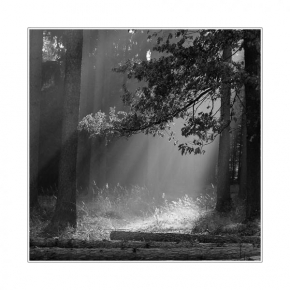 Černobíle… - Cesta za světlem