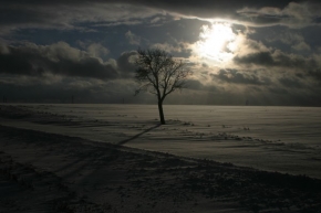 Kouzlení zimy - Sirotek v západu slunce