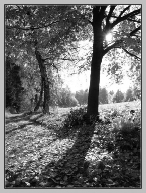 Černobíle… - Podzimní ráno