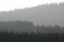 Šumava
