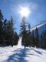 Schladming snow