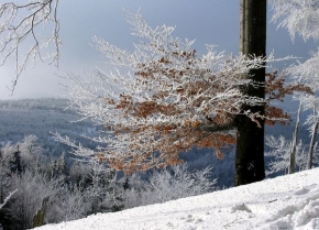 Radek Podrázký - Barevné variace zimy
