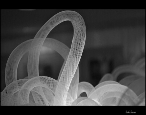 Černobíle… - Hadi světla