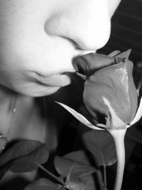 Anna Vymětalová - Vůně růže