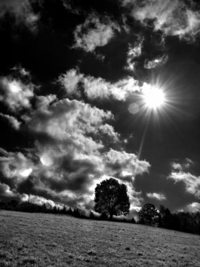 Černobíle… - Louka,strom a nebe