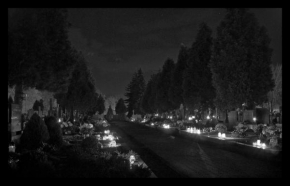 x x - Noční hřbitov