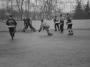 Jan Eibl - Sport