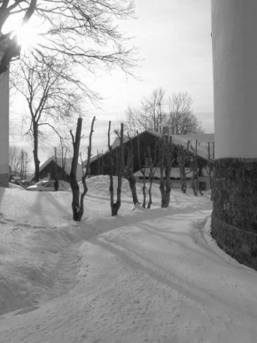 Kouzlení zimy - Stromy u kostela