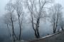 U Vltavy