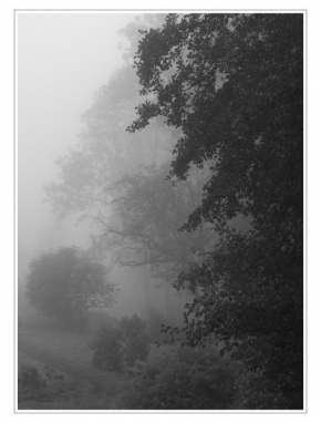 Černobíle… - Podzimní ráno
