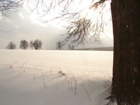 Kouzlení zimy - Zimní krajina