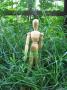 Anatomie