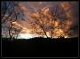 Twillight