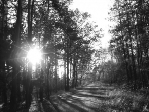 Černobíle… - Putování za sluncem