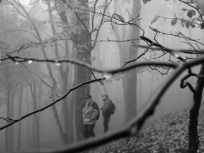 Černobíle… - Bezdězská mlha