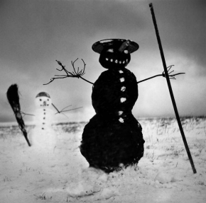 Černobíle… - Africký sněhulák