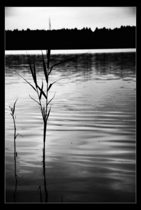 Černobíle… - Poklidný řeky proud...