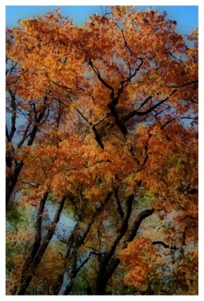 Stromy - Podzimní malování II.