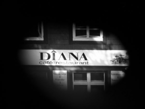 Černobíle… - Diana